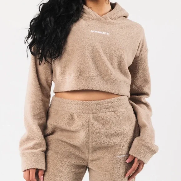 Alphalete Tops Alphalete Cropped King Hoodie Poshmark